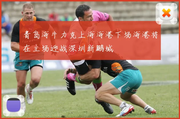 青岛海牛力克上海海港下场海港将在主场迎战深圳新鹏城